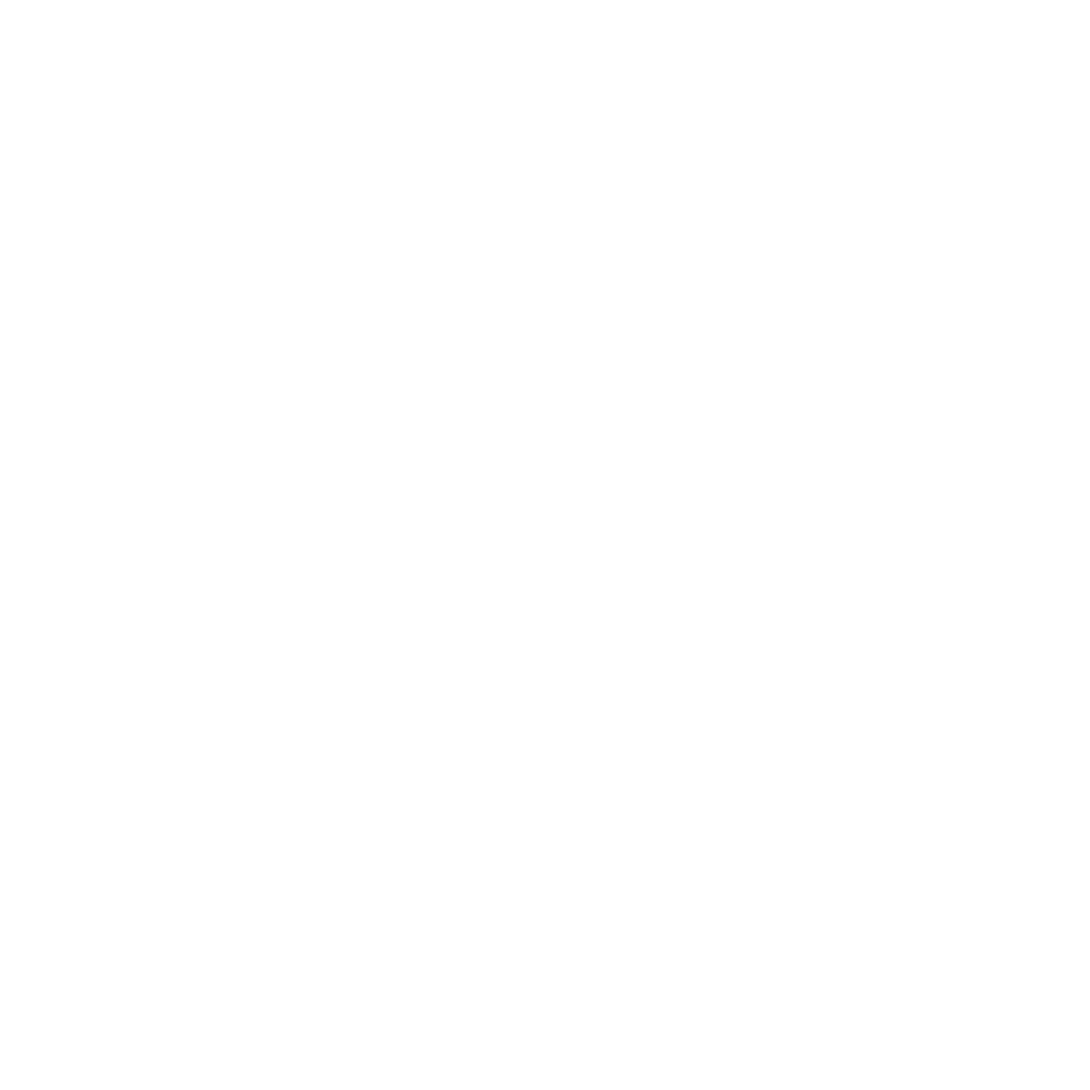 Logo Grupo Flow