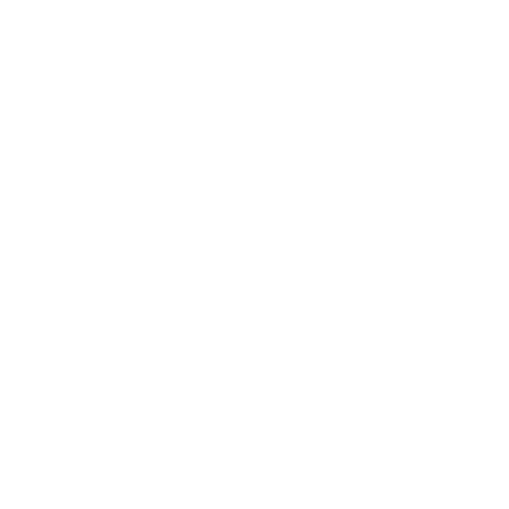 Logo Copag